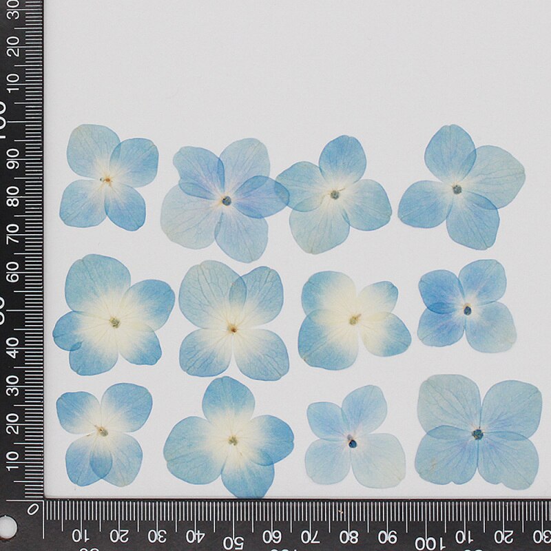 60 stuks/pak hortensia epoxy gedroogde bloemen reliëf plant specimen handgemaakte doe-het-zelf aromatherapie materiaal accessoires: 19