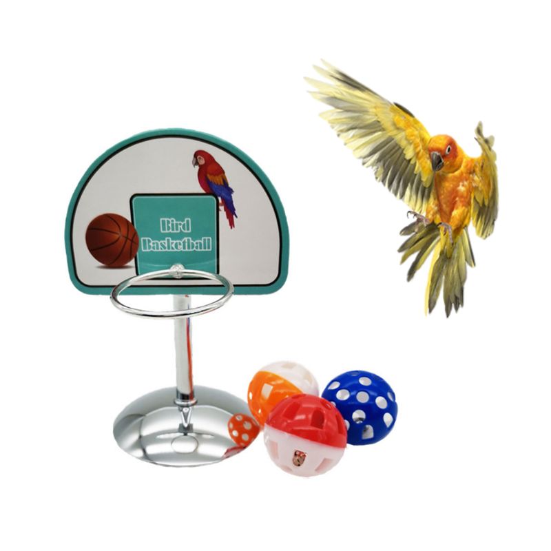Accesorios de aro de baloncesto para mascotas, juego de juguetes para masticar, bolas, campanas, periquito, loro, rompecabezas