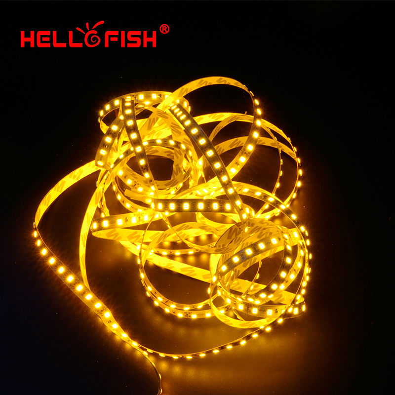 5 m 2835 LED Strip Single Layer PCB 600 Licht 2835 SMD 12 v Flexibele LED Tape Wit Warm Wit