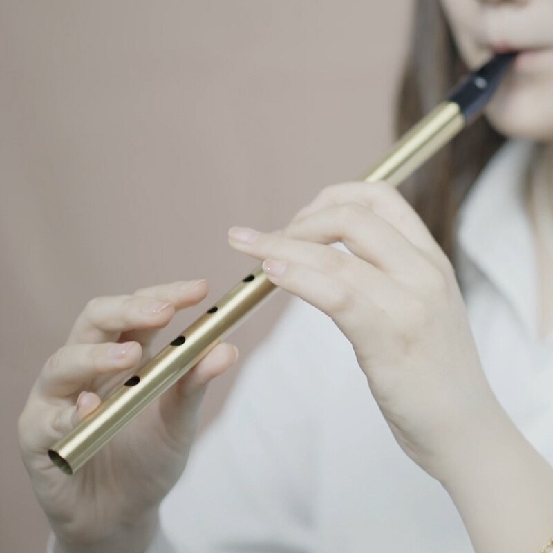 YN-NAOMI Traditional Irish Tin Whistle Penny Whistle Key of D Irish Whistle Six-Holed Woodwind Instrument