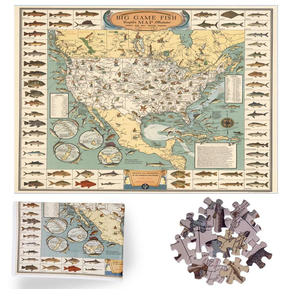 Vis Kaart Puzzel 1000 Stuks Puzzel Voor Volwassenen Kids