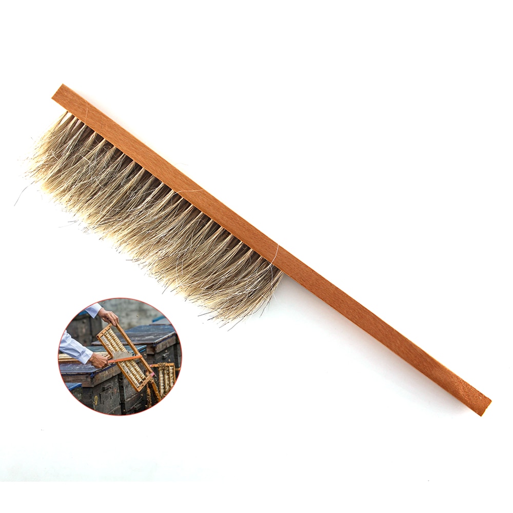 1PCS manen borstel voor vegen schoonmaken bijenkorf gereedschap twee rijen paardestaart haar bee borstels bijenteelt apparatuur voor bijenteelt