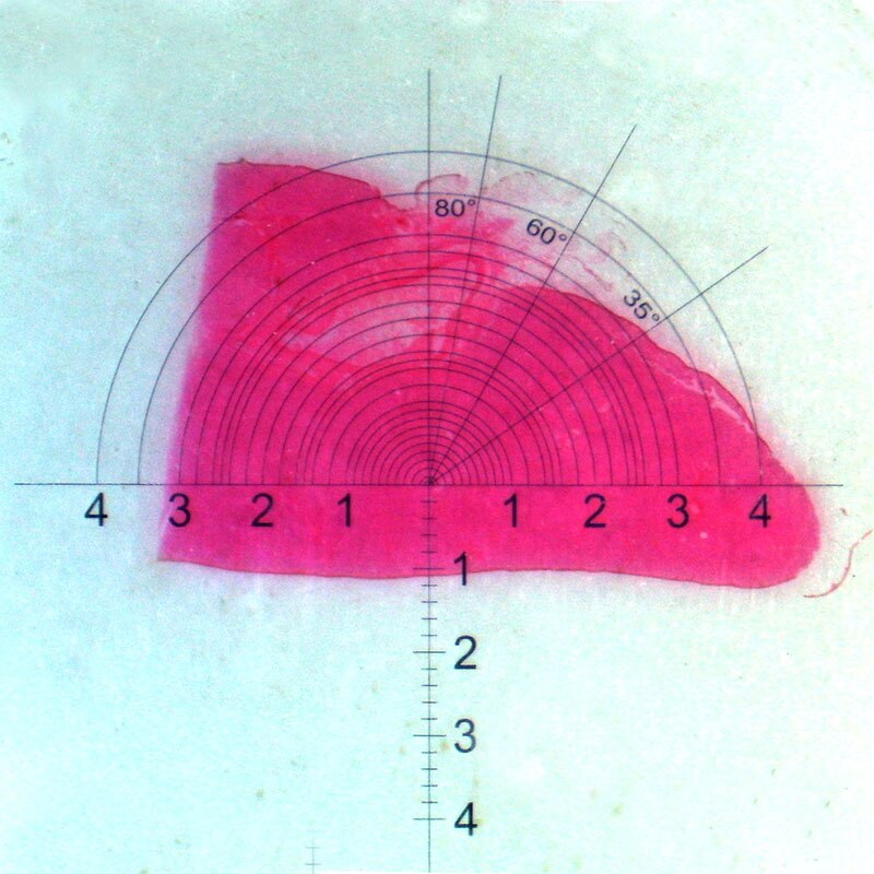 Concentric Semicircle Microscope Eyepiece Micrometer Calibration Slide Accessories Microscopio Eyepiece Graticules Ruler