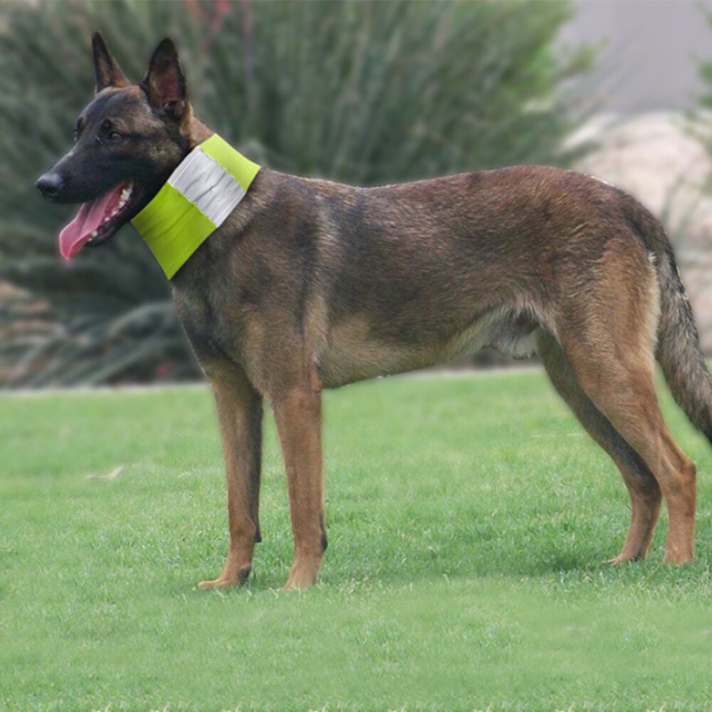 Pet Dog Neckerchief Triangular Bandage Safety Reflecting Pet Neckerchief Scarf Safety Walking Pet Accessories Supplies