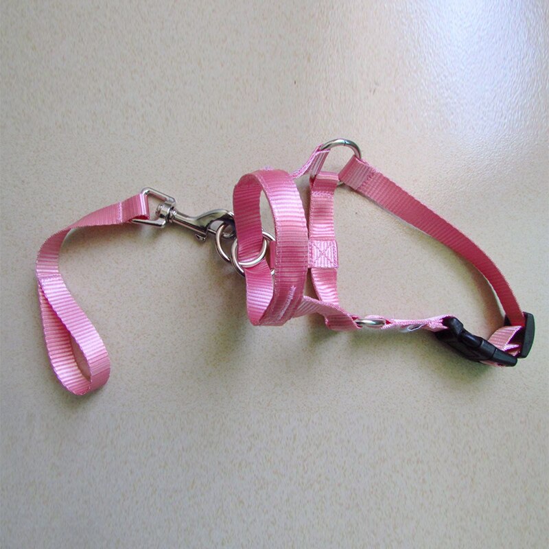Collar de cabeza de entrenamiento con cuello Halter para perro, arnés de poliéster con cuello Halter, , ideal para cualquier temporada