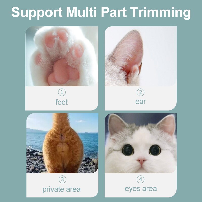 Laika Kat Tondeuse Messen Led Huisdier Voet Tondeuse Oplaadbare Butt Ogen Oor Voet Haar Snijder Remover Hond Grooming gereedschap