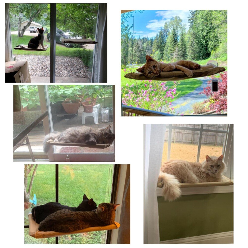 Katt hengekøye kjæledyr hengende senger med teppe katt vindu hengekøye solfylt vindu sete feste kjæledyr seng for katter små hunder med 20kg