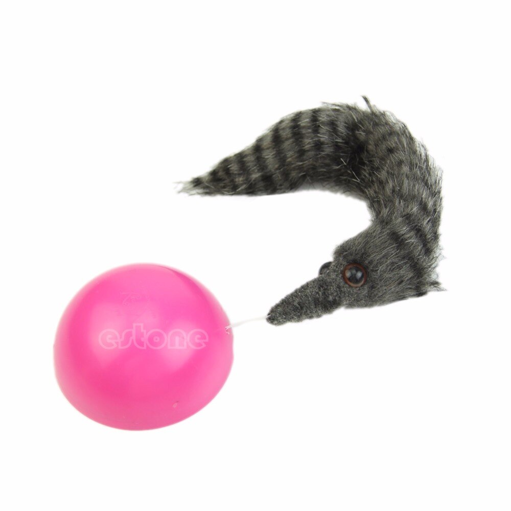 Belle boule de roulement motorisée par belette de chat de chien d'animal familier apparaît saut se déplaçant vivant jouet petits animaux jouets jouets mignons de boule d'animal familier