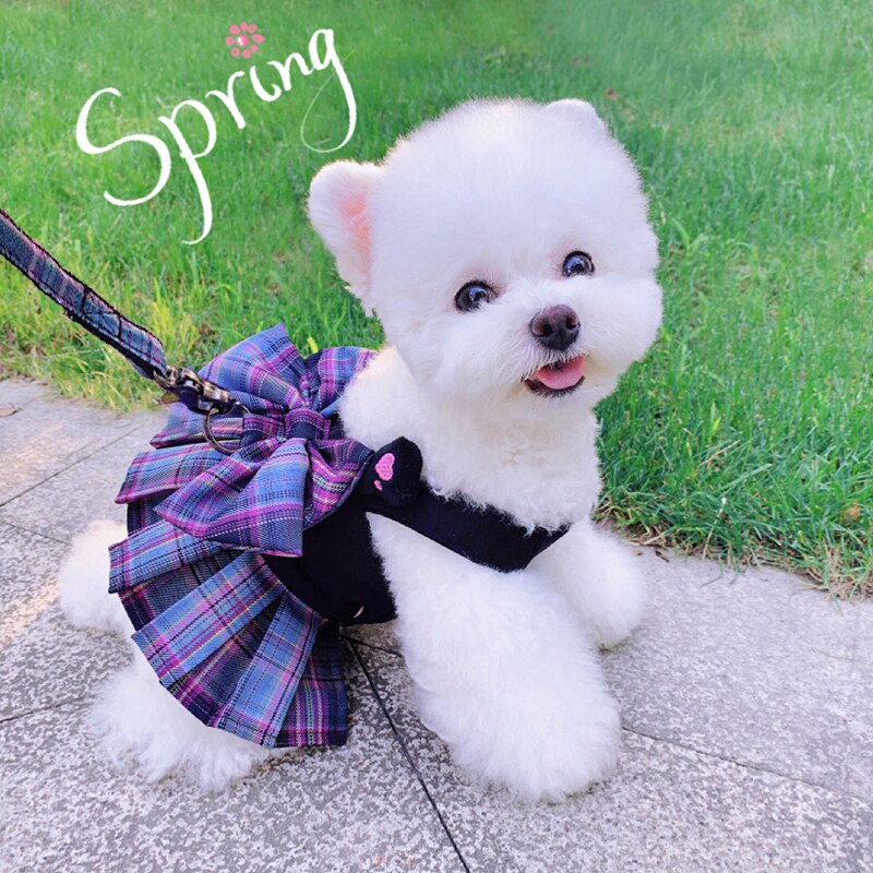Huisdier Hond Kat Kleding Zomer Lente Hond Jurk Met Harness Leash Chihuahua Bichon Leuke Rok Voor Kleine Honden Luxe Puppy jurken