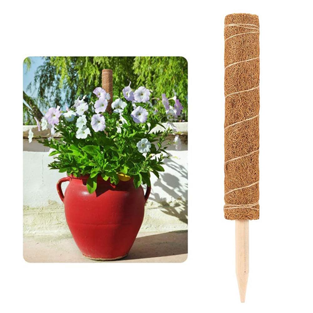 Plante klatring coir totempæl sikker havearbejde kokosnød palmestok til klatring planter vinstokke og creepers plante klatring søjle: 60cm
