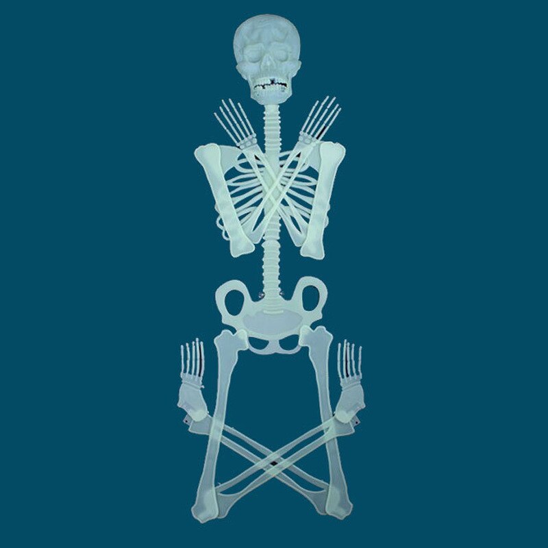 32/90/150cm Poseable Full Life Size Luminous Skeleton Halloween Decoration Party Yard Prop