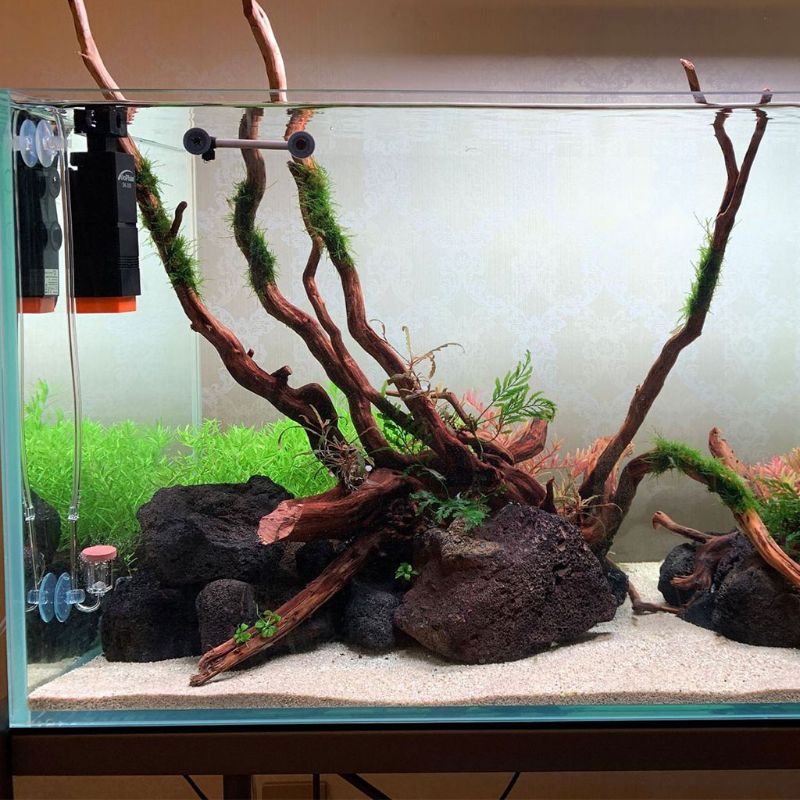 Aquarium CO2 Diffuser Dioxide Diffuser with U-Shape Connecting Tube Fish Tank Atomizer Supplies Equipment for Aquatic Plants wit