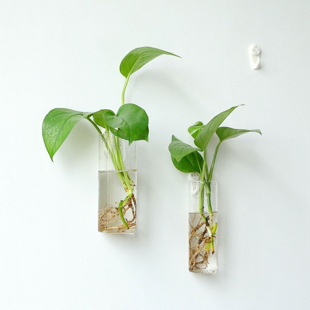 Plantas Hidropônicas Vaso De Flores, Decorações Para Casa, Casa Artesanato De Vidro, Vaso De Flores, Recipiente De Plantas