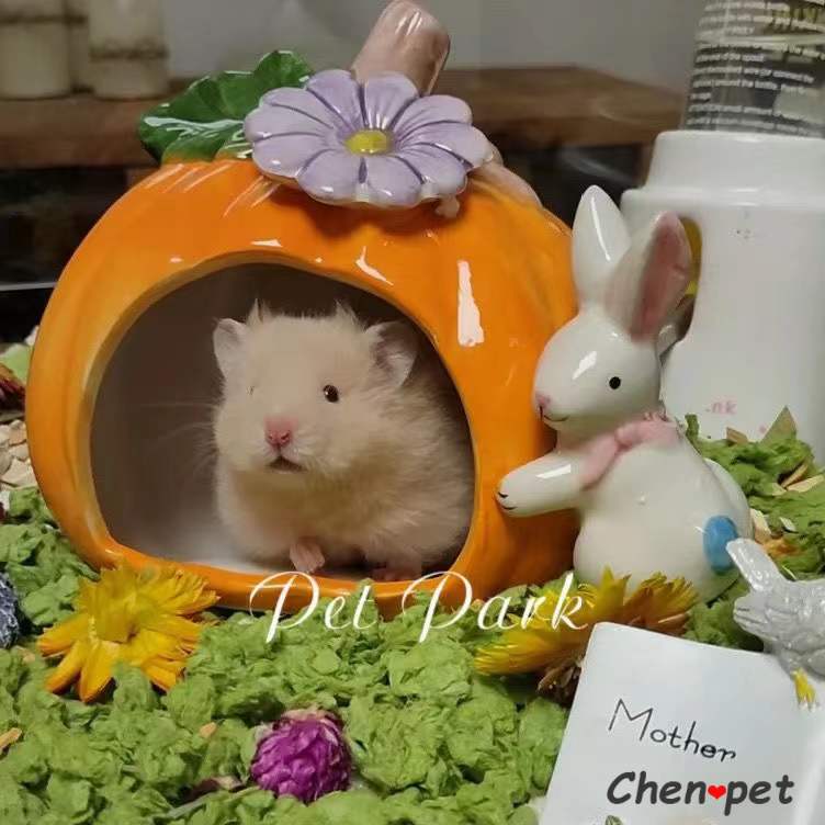 Cama de cerámica con de calabaza para hámster, jaula para ratas, conejillo de indias, accesorios para mascotas pequeñas, hámster y chinchillas sirios