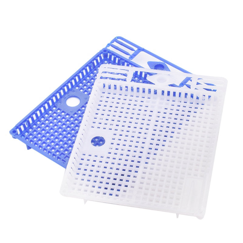 1PCS Queen Isolation And Introduction Cage Plastic Round flat queen introducing cage