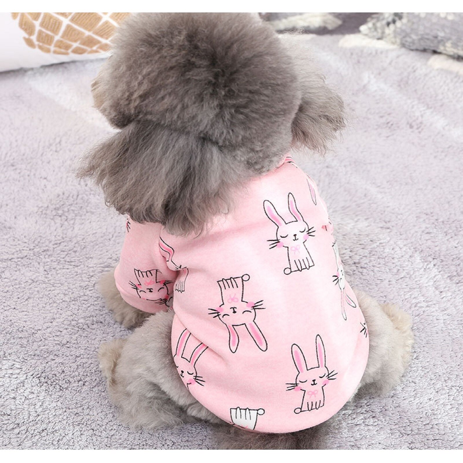 autumn and winter Dog Vests sweater cute cartoon style cat cat clothes puppy dog two-legged pet clothing