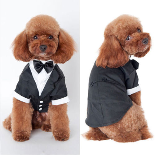 Smuk solid sød kæledyr hund kat tøj prins bryllup jakkesæt smoking bow tie hvalp tøj frakke
