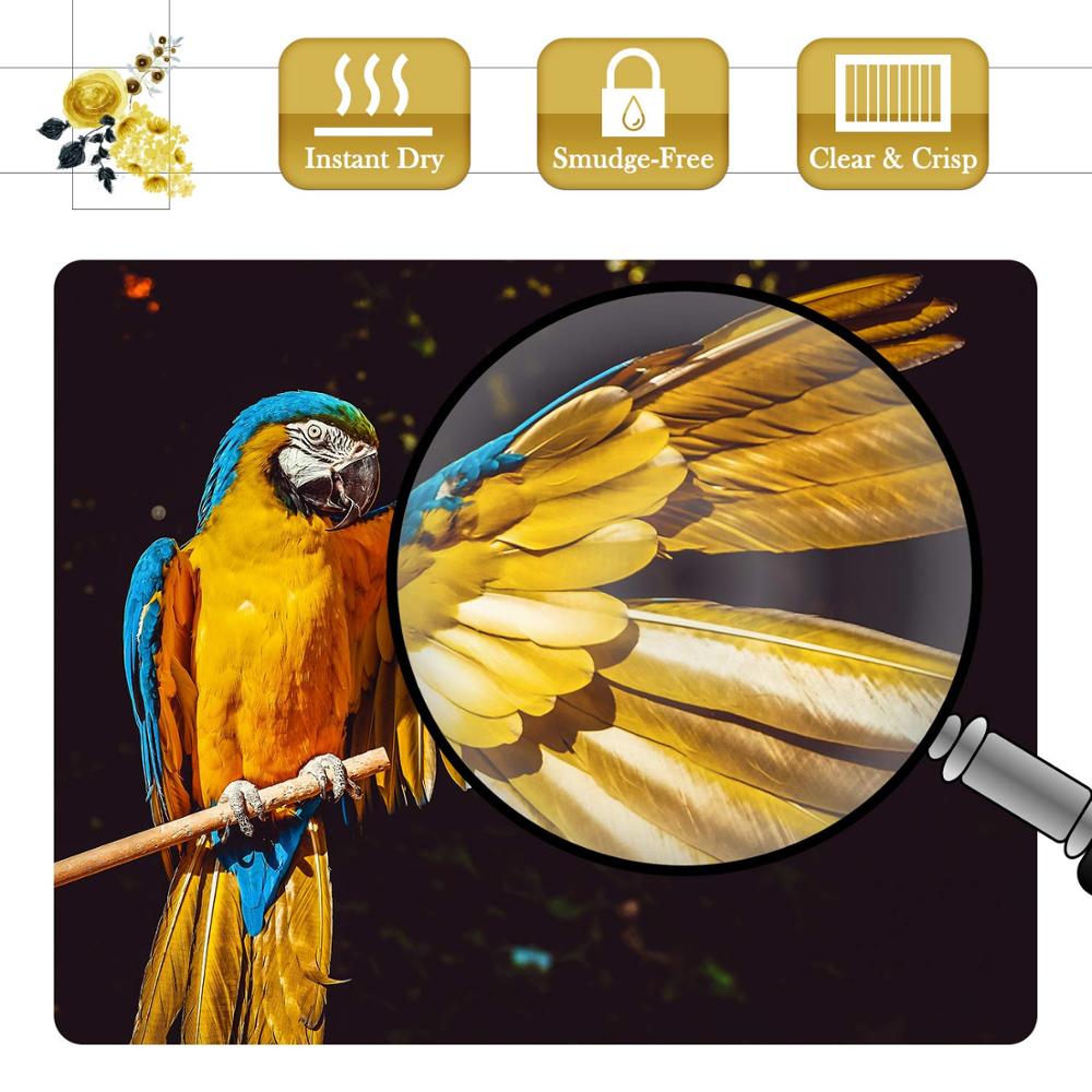 A4 Fotopapier Gloosy Waterdicht Inkjet Printing 100 Sheets Voor High End Fotografie