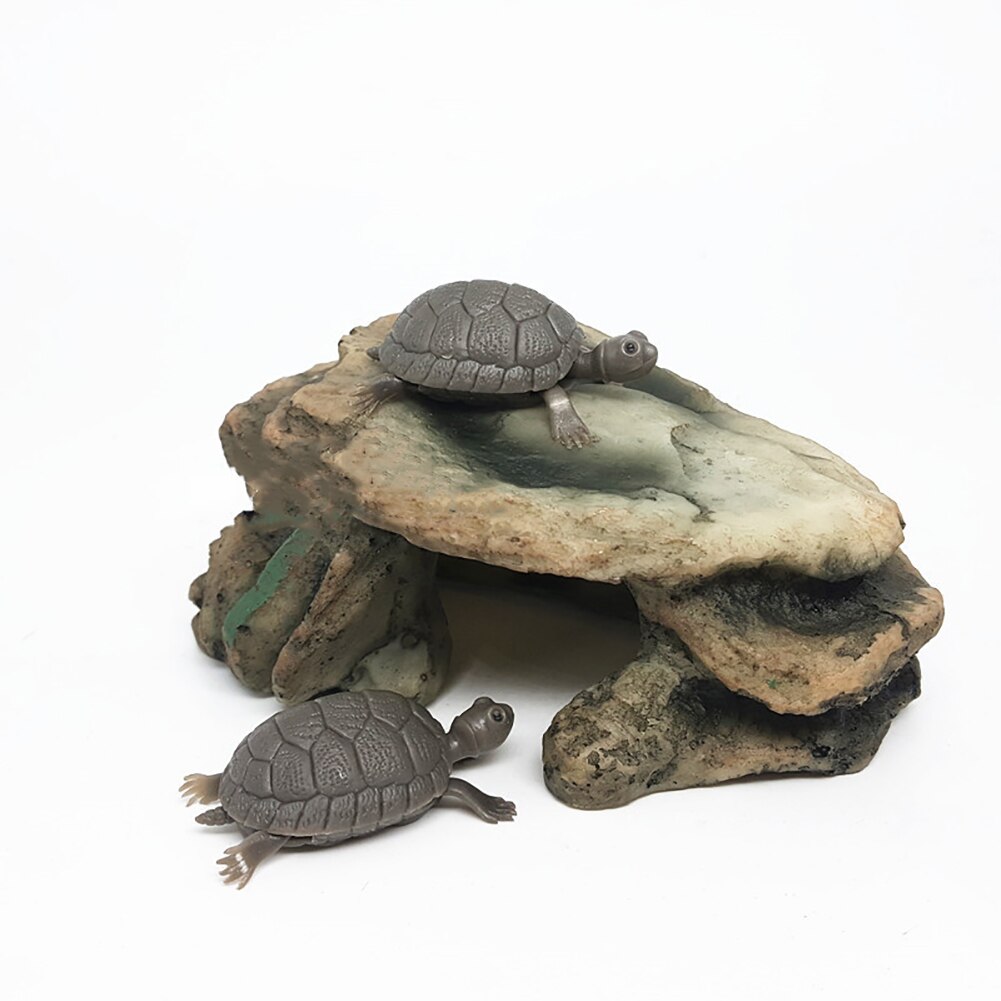 Schildpad Reptiel Eiland Dock Koesteren Platform Aquarium Aquarium Simulatie Rock