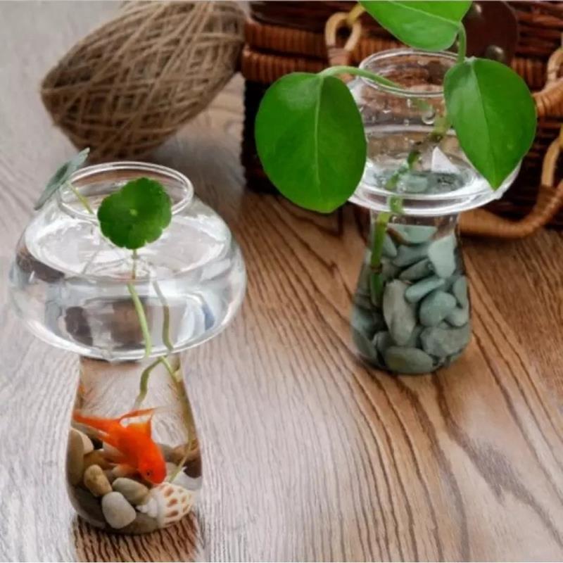 Helder Glazen Vaas Fles Voor Plant Bloem Decoraties-Paddestoel