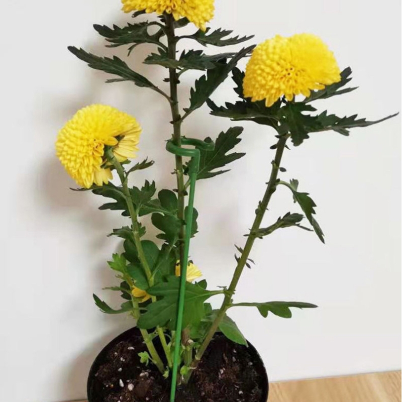 HX5F Plants Support Rods 10 Pcs Garden Bonsai Bracket Stake Single Stem Shrub Holder for Indoor Outdoo Garden Flower Potted Rod