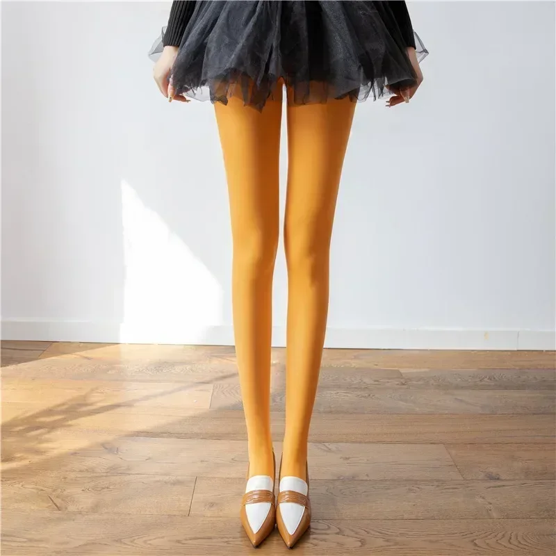 Trendix-medias rojas nuevas para mujer, pantimedias de encaje transparentes súper elásticas, medias sexis ajustadas y elegantes color Burdeos para invierno: Borgoña