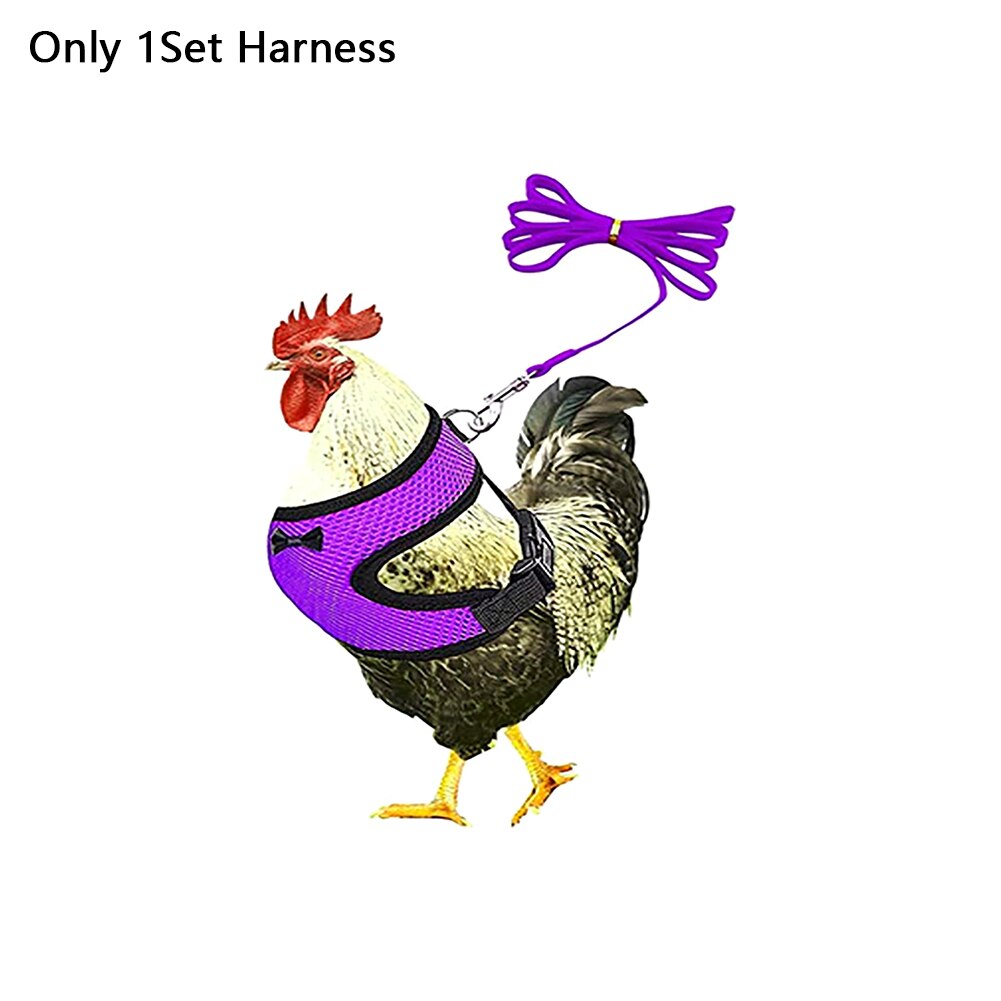 Pettorina per pollo da allenamento per ciotole forniture per pollame cinturino regolabile elastico con guinzaglio a passeggio all'aperto la moda maglia galline gilet per animali domestici
