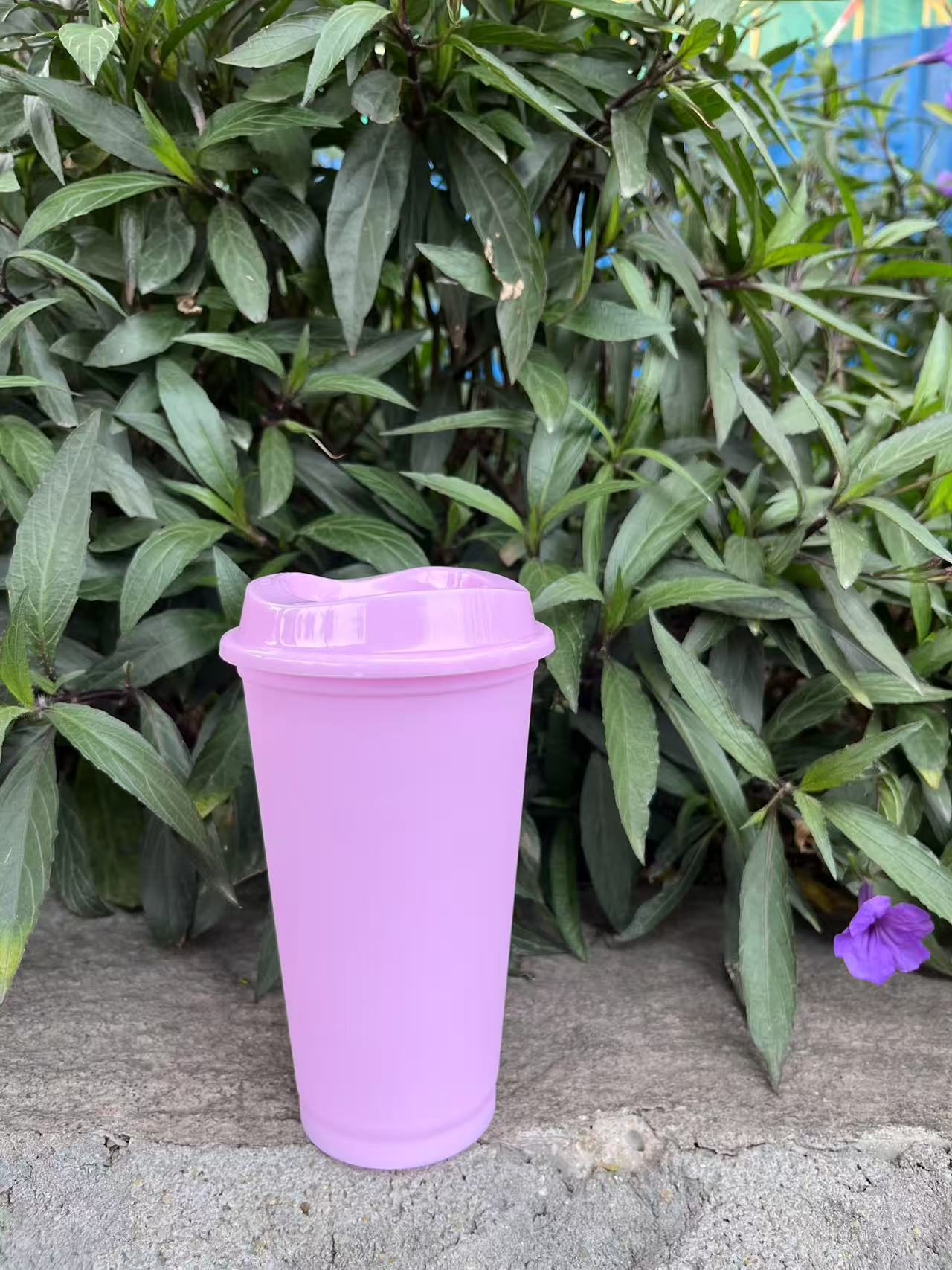 BPA free reusable 480ml 16oz plastic coffee cup travel coffee mug cup drink cup to go