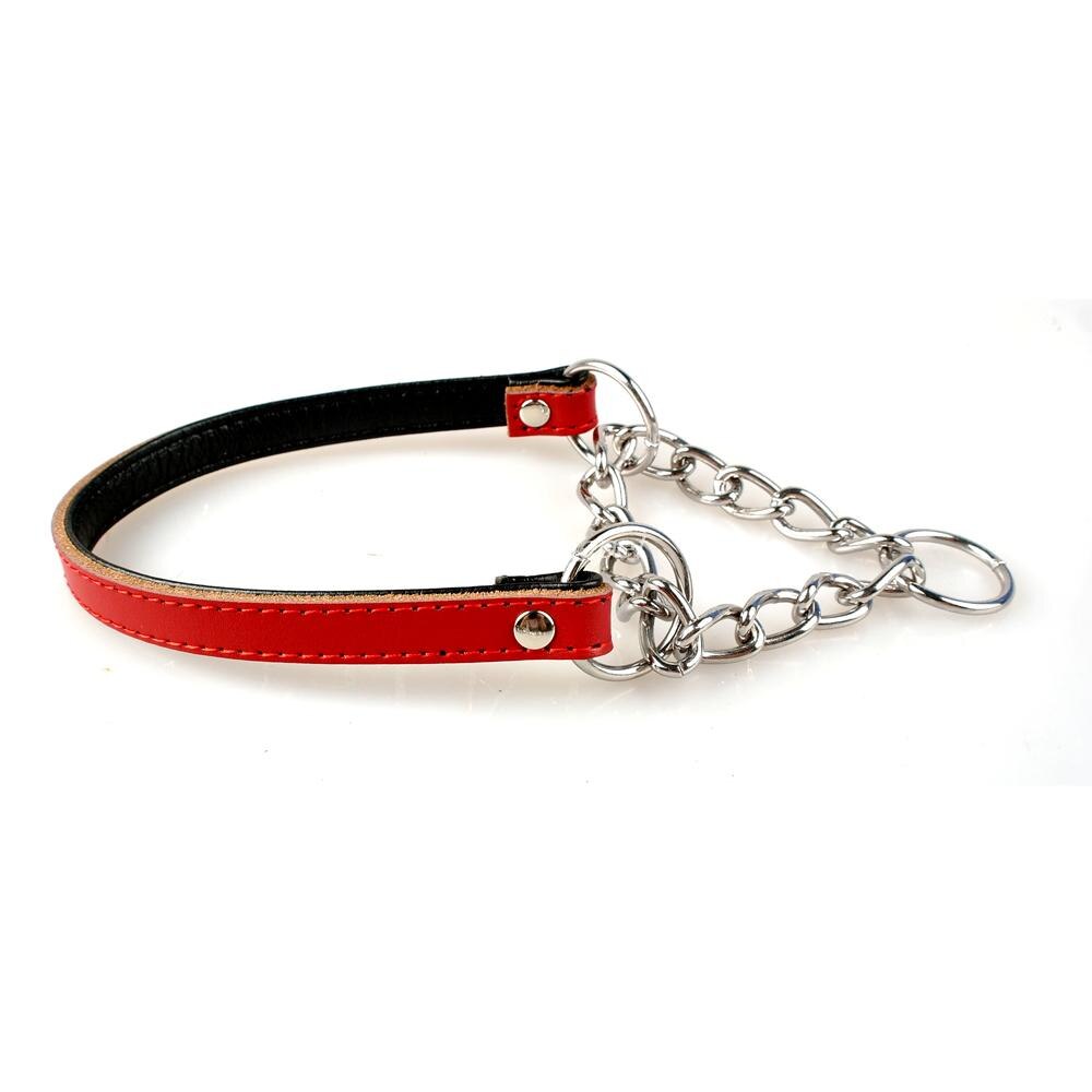 Martingale − collier pour dressage de chien, demi-choque, pour animaux de compagnie, 5 couleurs disponibles, rembourré, protège le cou: Rouge / M