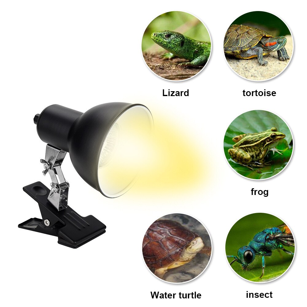 Reptile Heat Lamp 25/50/75W Tortoise Heat Lamp Fish Tank Aquarium E27 Bulb Light Basking Lamp for Reptiles Lizard Turtle