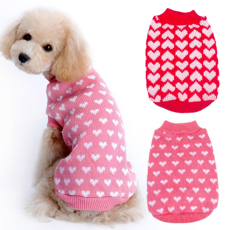 Tricot hotsell pour chihuahua