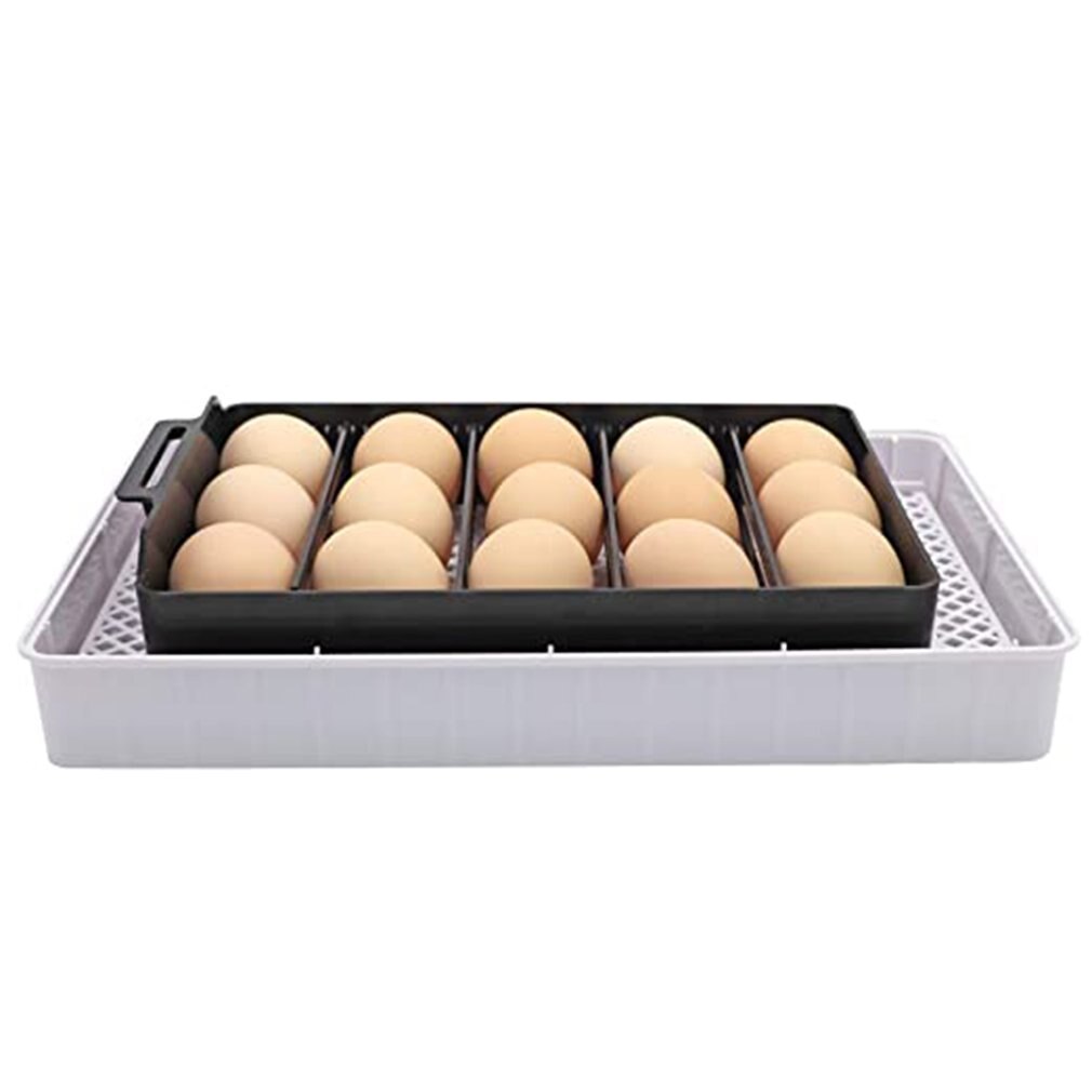 12 Eggs Incubator Bird Egg Incubator Semi-automatic Miniature Egg Incubator Pigeon Household Incubators