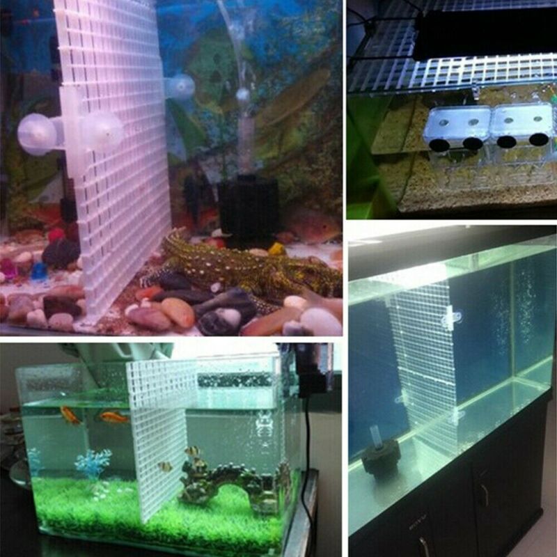 4 Stuks Aquarium Filter Bodem Isoleren Pane Vis Duurzaam Plastic Partitie Grid Vis Rooster Divider Houder Netto