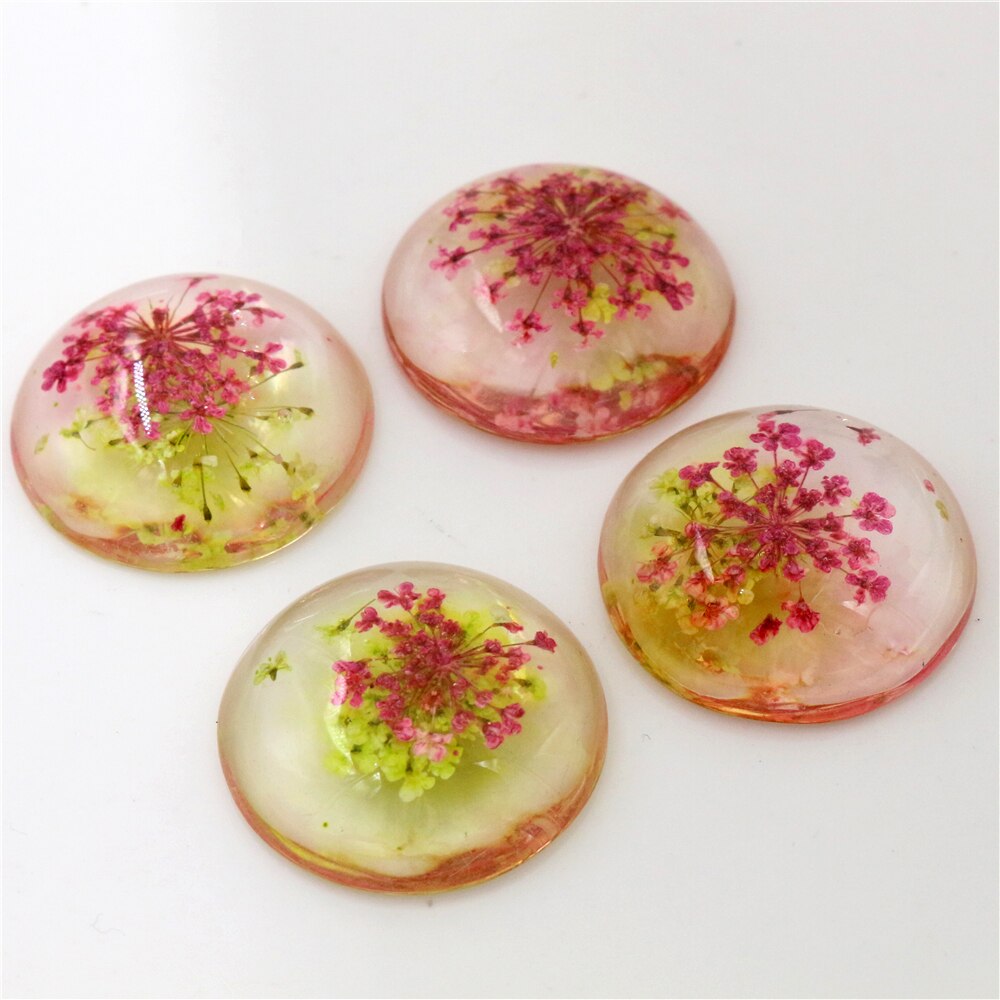 5pcs 25mm Mixed Natural Dried Flowers Flat Back Resin Cabochons Cameo: G3-07