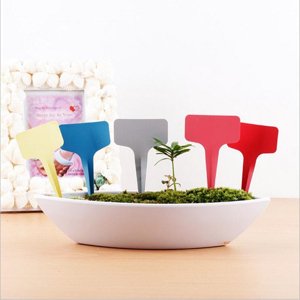 100 Stück Pflanzenschilder Aus PVC – Wasserdicht, Wiederverwendbar, 10x2 Cm, Für Garten & Gewächshaus
