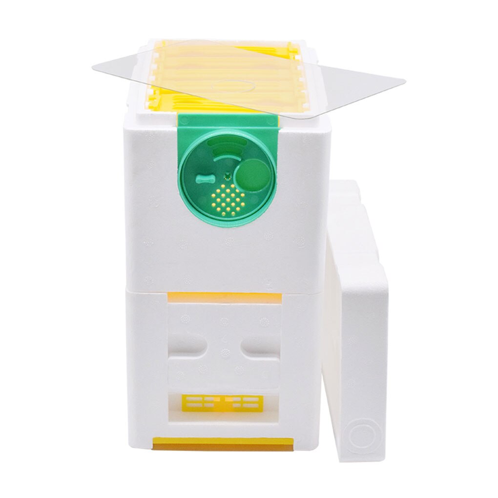 Biodling drottning uppfödning mini parning bikupa diy biodling kung pollinering låda