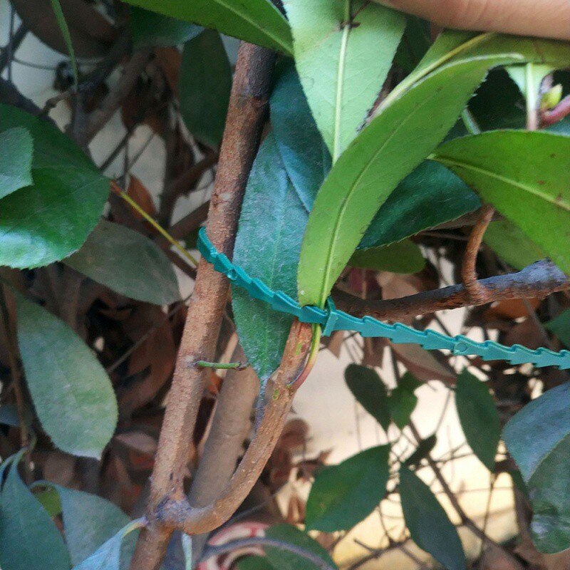 50/100pc Plastic Plant Cable Ties Reusable Cable Ties for Garden Tree Climbing Support Adjustable Garden plant Tying Tool