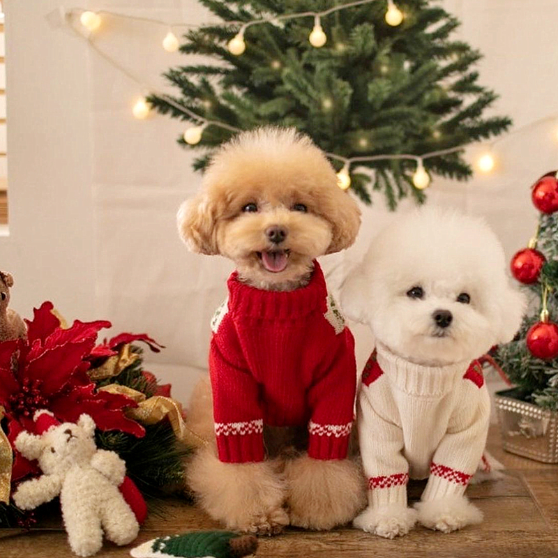Moda maglione per cani foglia d'acero maglieria per animali domestici barboncino vestiti invernali caldi cucciolo Maglione confortevole vestiti a dovuto zampe