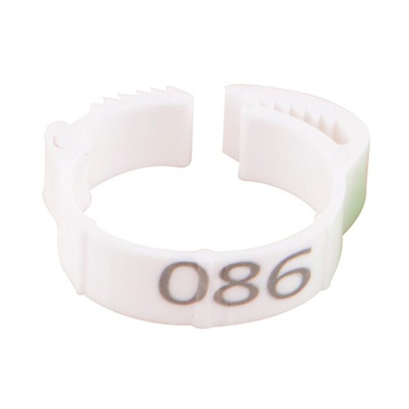 100 pcs/package Bird And Pigeon Foot Ring Color Identification Ring Opening Poultry Foot Set Foot Identification Tool: white