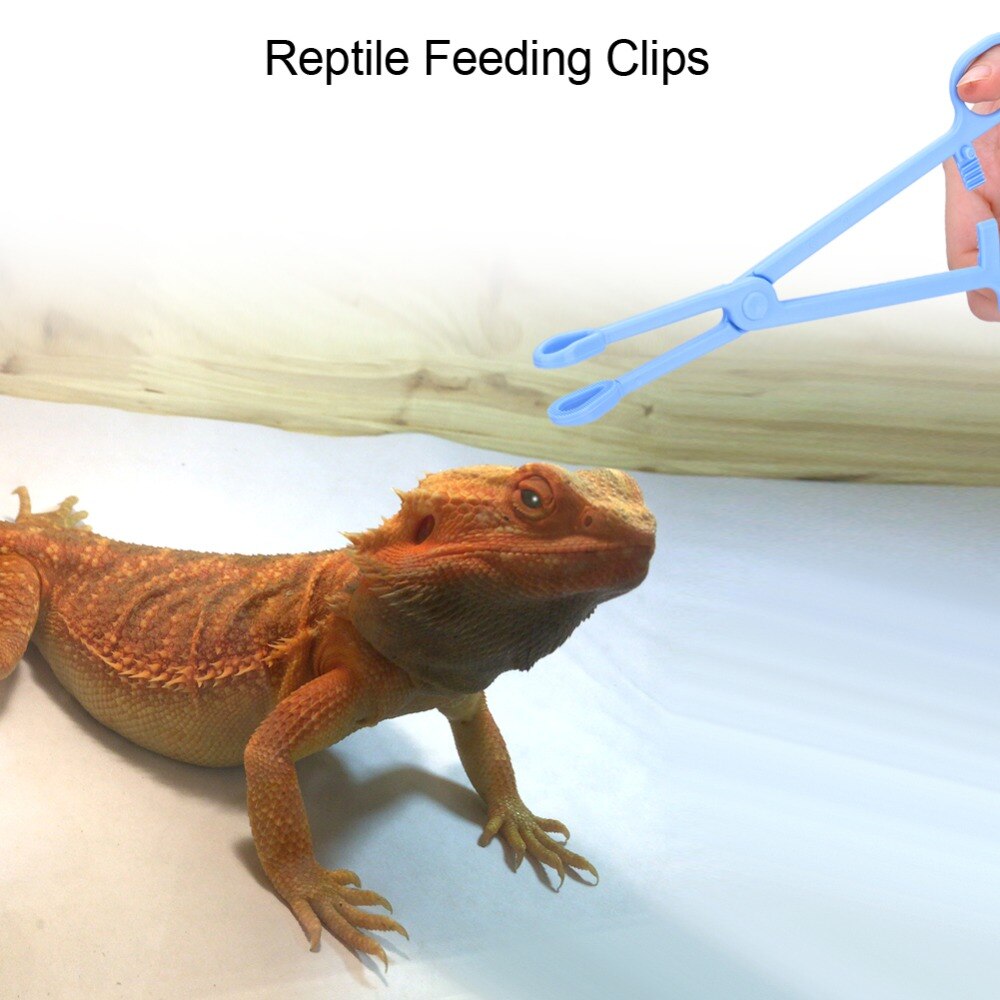 Plastic Reptiel Terrarium Hagedissen Turtles Tang Clips Pincet Huisdier Raising Feeding Tool Voeden Pincet Plastic