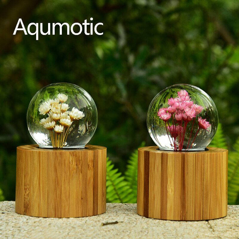 Aqumotic-caja de música de margaritas, bola de cristal, flores secas, cajas musicales de bambú de cristal para amantes, para niña, 1 ud.