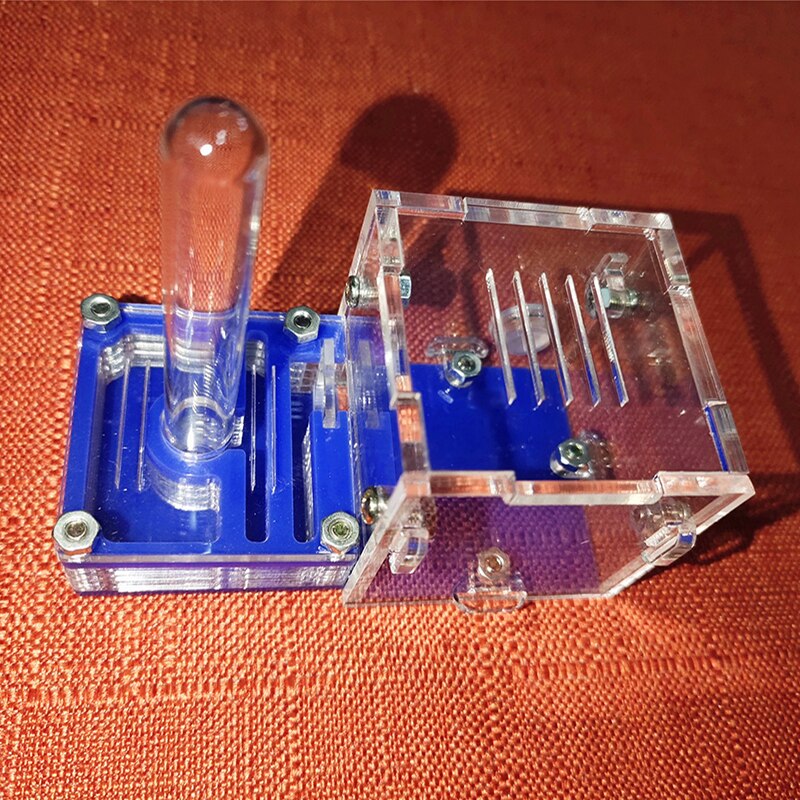 Gelb Ameise Bauernhof Palme Nest Neue Hinten Flugzeug Acryl Nest Ameise Werkstatt Haustier Ameise Reptil Terrarium: Größe-5