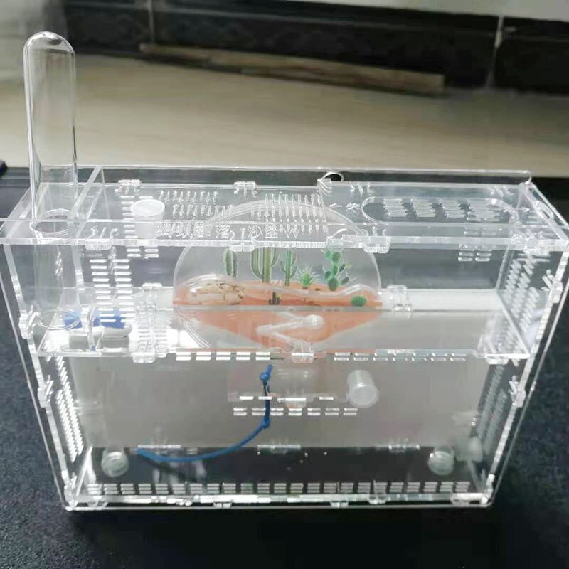 19.6*13.3*2.9cm DIY moisture with feeding area ant nest ,ant farm acryl, insect ant nests villa pet mania for house ants: A