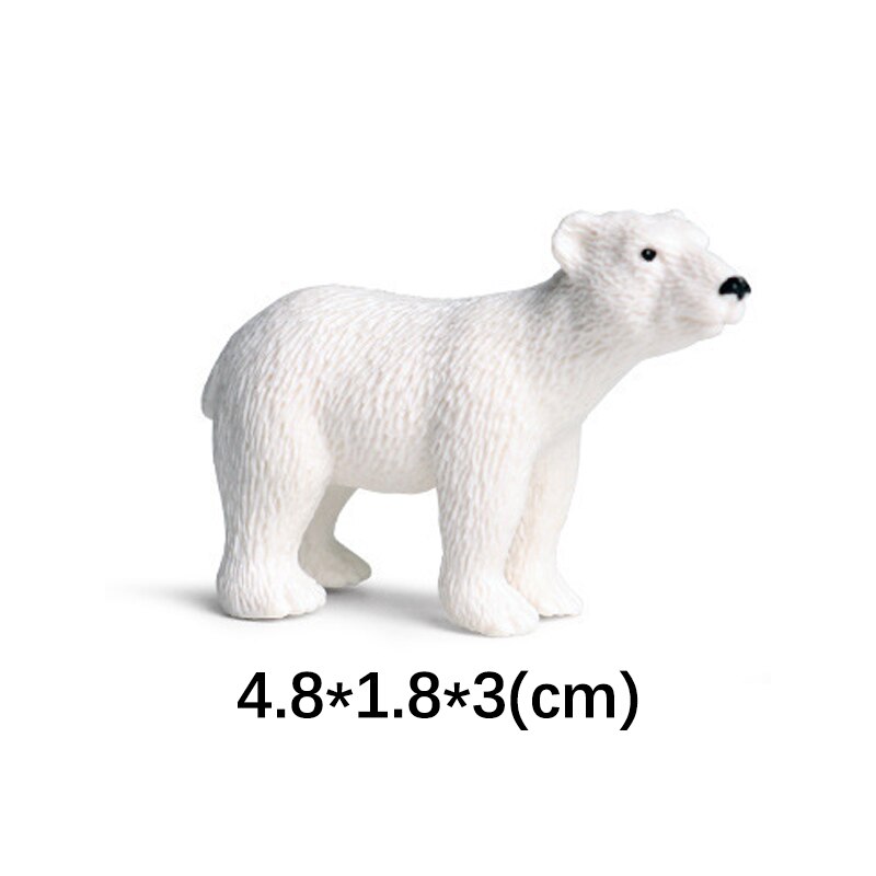 Toy Figures Model Handgemaakte Wildlife Animal Bear Poolvos Wolf Beluga Walvis Seal, Sneeuwuil Polar Regio Educatief: White bear