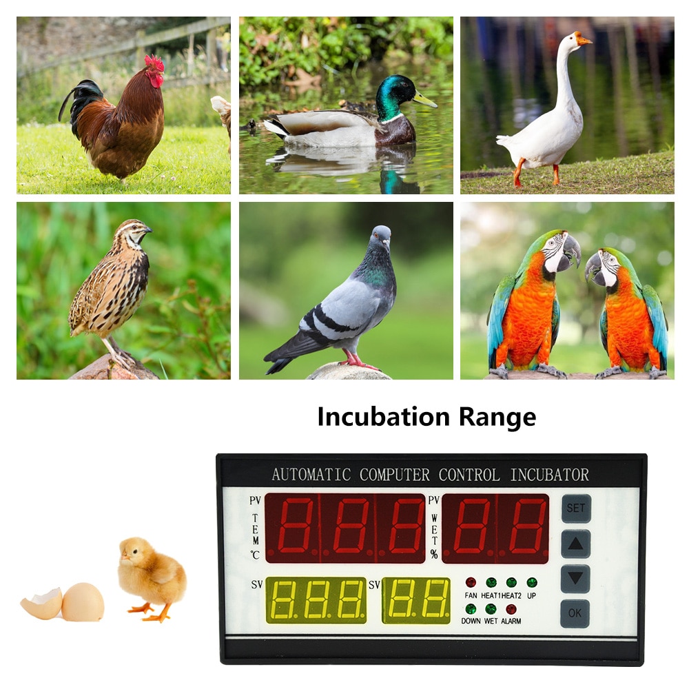 XM-18 Incubator Controller Thermostat Full Automatic Multifunction Egg Incubator Control System Egg Incubator Controller