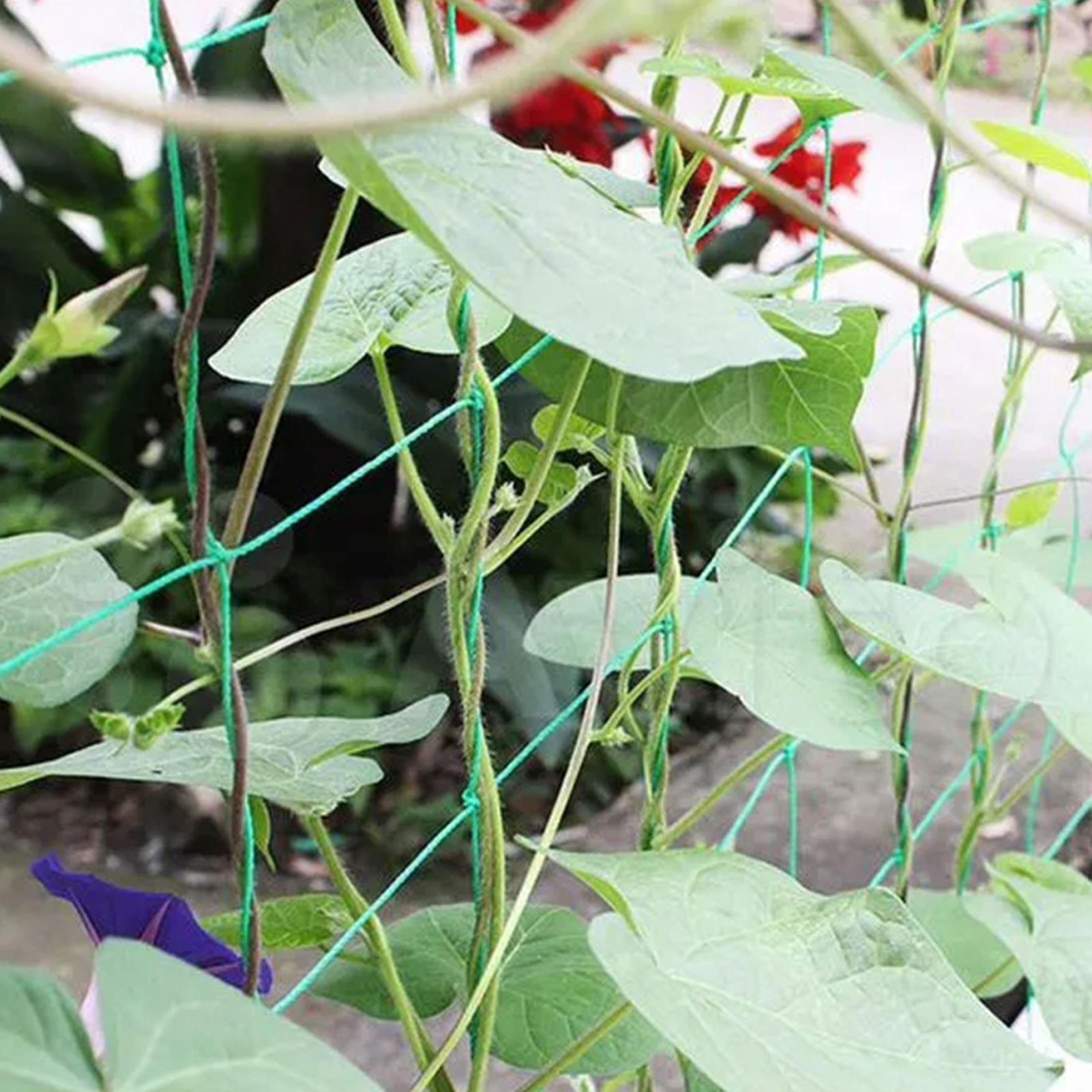 Trellis Netting For Climbing Plants Sturdy Plant Trellis Net Sturdy Cucumber Trellis Flexible Plant Support Grow Net Mesh