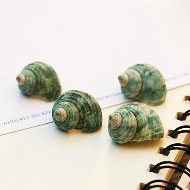 Mixed Ocean Sea Shells For Home Fish Tank Aquarium... – Grandado