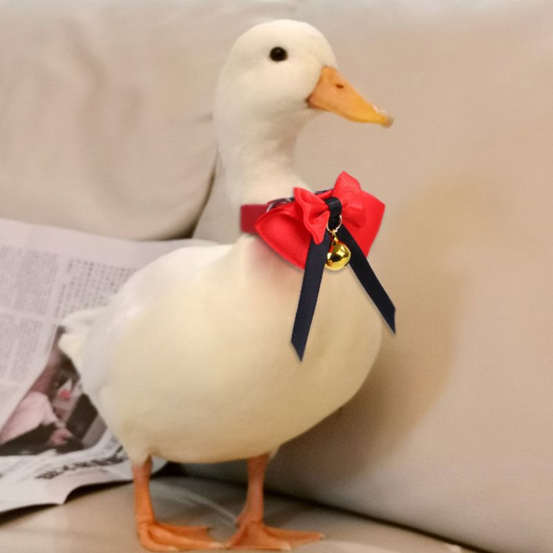 Adjustable Duck Bow Tie Collar with Bell Chicken Goose Necklace Pet Neck Strap Accessory