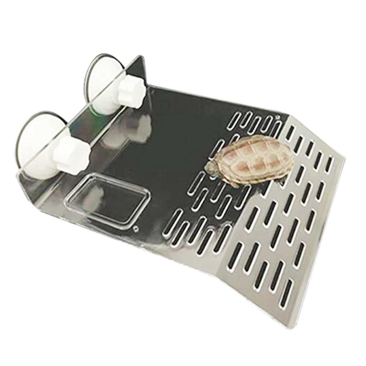 Turtle Basking Platform Tortoise Floating Platforms Aquarium Tortoise Platform Terrace For Turtles Frogs Fish Tank Reptile Box: M