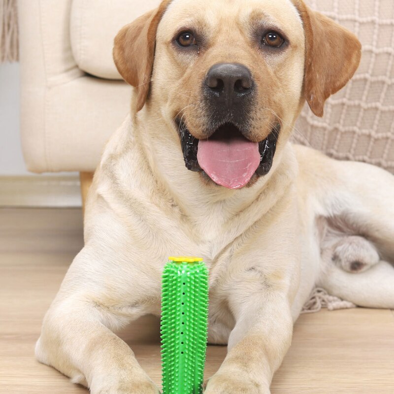 Hond Tandenborstel Speelgoed Voor Honden Interactieve Feeder Speelgoed Training Iq Tanden Reinigen Kleine Medium Grote Hond Puppy Kauwen PT032